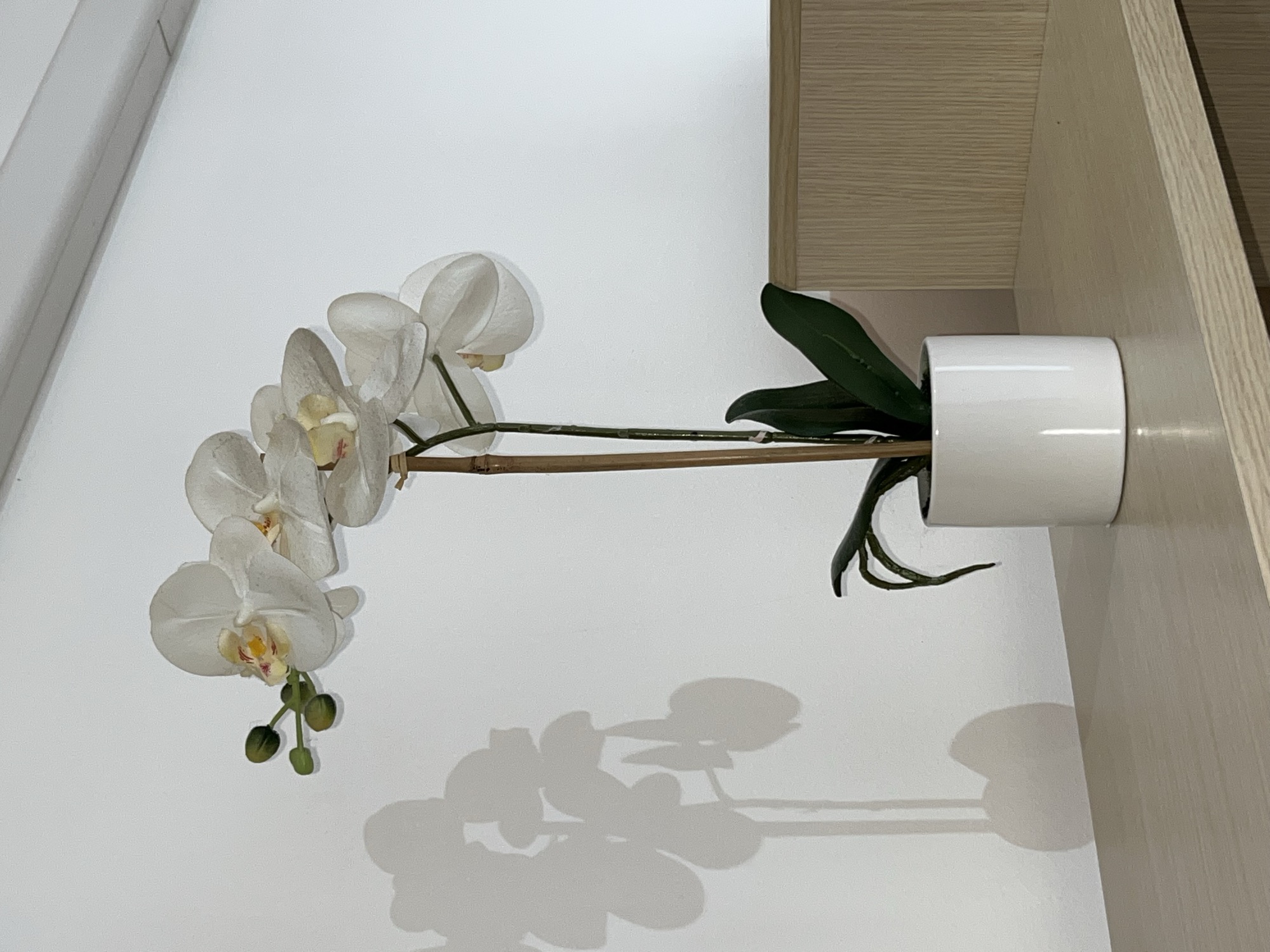 Dettaglio decorativo, At Home Mogliano